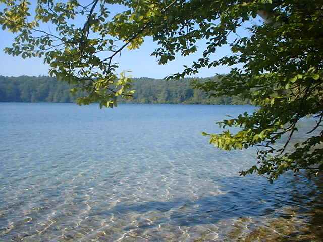 Stechlinsee-68